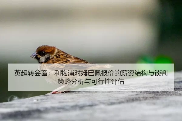 ying-chao-zhuan-hui-chuang-li-wu-pu-dui-mu-ba-pei-bao-jia-de-xin-zi-jie-gou-yu-tan-pan-ce-lve-fen-xi-yu-ke-xing-xing-2-492.jpg